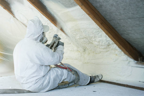 Best Insulation Removal  in Fyffe, AL